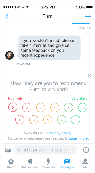 Twitter Surveys